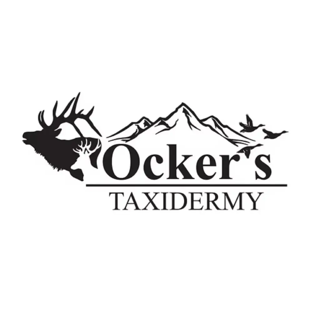 Logo of Ocker's Taxidermy with elk and mountain design.