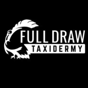 Logo of Full Draw Taxidermy with a feather and animal silhouette.